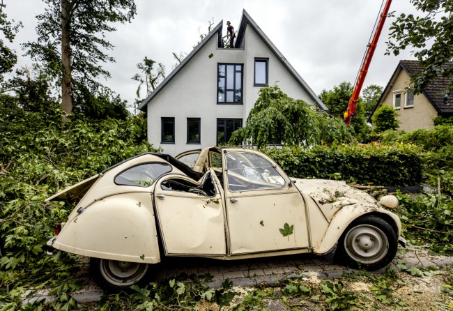 Itemnummer 316
